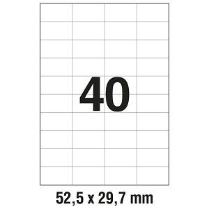 000009977_1.jpg