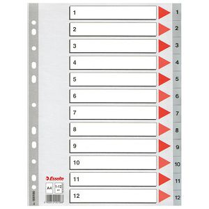 Pregrada plastična A4 brojevi 1-12 Esselte 100106 siva