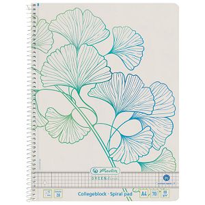 Blok kolegij A4 karo  70L Greenline Ginkgo Herlitz 50033485