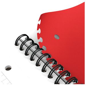 Blok kolegij A4 karo 80L perforacija+4rupe Activebook Oxford 100104329