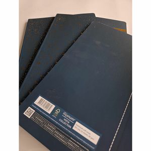 Oštećena bilježnica Ilijanum Vista A4 90gr 52L 3D Gold foil crte 50041