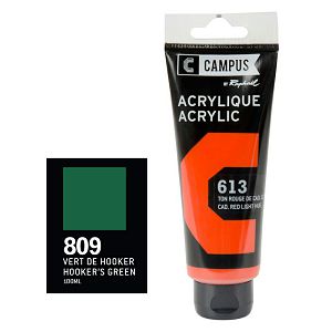 Akril Campus Raphael 100ml hooker's green