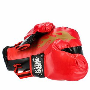 boksacki-set-2rukavice-i-vreca-19x45x19cm-113645-77980-amd_2.jpg
