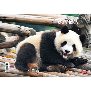 Crtančica za 1razred Target Panda