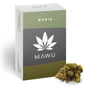 Cvijet kanabis Maria CBD 4.7% 1.6gr 182502