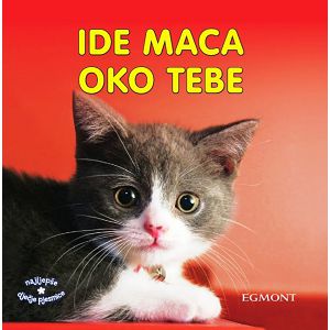 IDE MACA OKO TEBE najljepše dječje pjesmice 318365