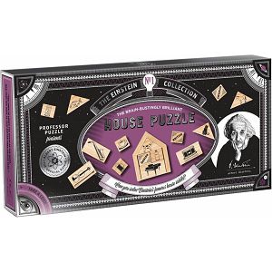 IGRA EINSTEIN House Riddle Professor Puzzle 531373