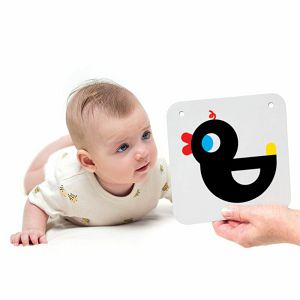 kartice-banana-panda-kontrast-3-mjeseca-241-762763-22032-39324-kx_502888.jpg