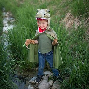 kostim-t-rex-ogrtac-s-kapuljacom-i-kandzamavel7-8-god-great--16407-34529-gp_463134.jpg