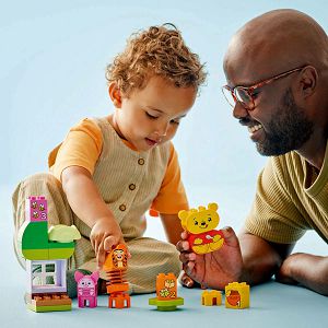 lego-kocke-duplo-medo-winnie-the-pooh-slavi-rodendan-10457-1-5648-47895-ap_419310.jpg