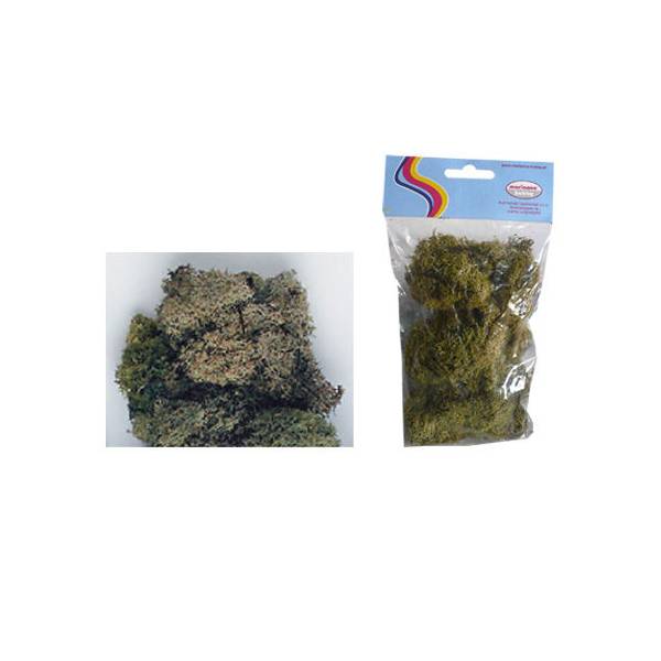 Mahovina svijetlozelena 50 g