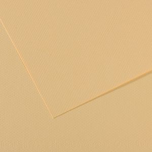 papir-slikarski-pastel-50x65cm-160g-cans-27933-407_1.jpg