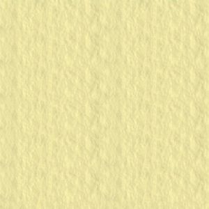 Papir za pastele 50x65cm u boji 160gr Fabriano Tiziano crema