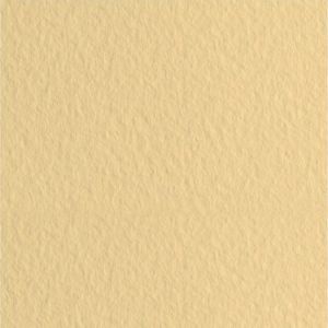 Papir za pastele 50x65cm u boji 160gr Fabriano Tiziano zabaione