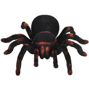 pauk-na-daljinski-tarantula-574975-5141-98657-cs_2.jpg