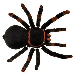 pauk-na-daljinski-tarantula-574975-5141-98657-cs_4.jpg