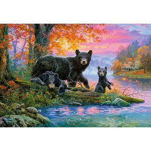 puzzle-castorland-1000kom-mjesto-za-pecanje-c-104727-2-70423-56398-amd_1.jpg