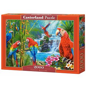 Puzzle Castorland 2000kom Papige