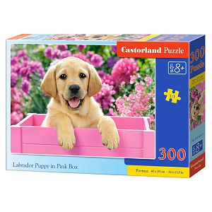 PUZZLE CASTORLAND 300kom Štene labradora u rozoj kutiji 030071