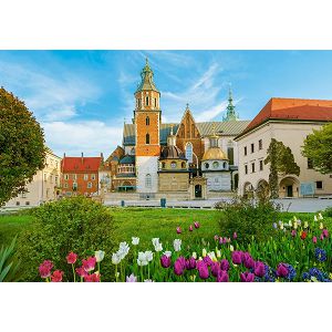 puzzle-castorland-500kom-poljskadvorac-wawel-u-krakovu-b-535-40899-56410-amd_1.jpg