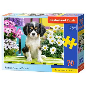 Puzzle Castorland 70kom Psić 070053