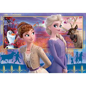 puzzle-clementoni-frozen-2-60kom-260560-86899-ni_2.jpg