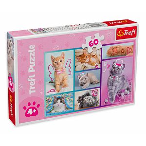 Puzzle Trefl 60kom Mačke 17373