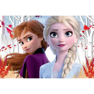 puzzle-trefl-frozen-ii-60kom-83062-ed_2.jpg