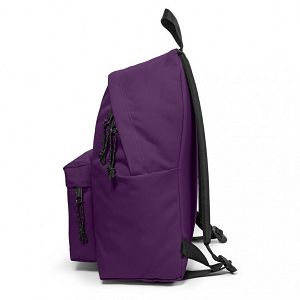 ruksak-eastpak-padded-ek6204d9-842842-31259-57207-ve_292575.jpg