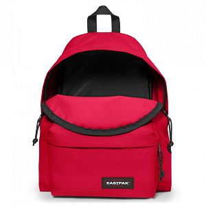 ruksak-eastpak-padded-ek62084z-216437-92095-57209-ve_292581.jpg