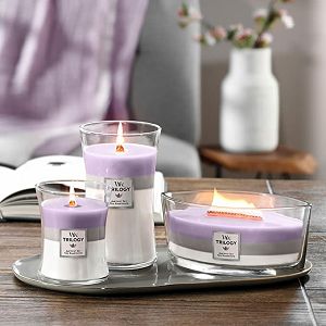 svijeca-mirisna-woodwick-trilogy-medium-amethyst-sky-1707527-22746-94989-lb_3.jpg