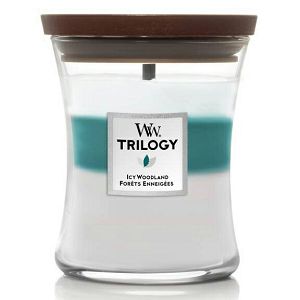 svijeca-mirisna-woodwick-trilogy-medium-icy-woodland-1720895-13934-98866-lb_4.jpg