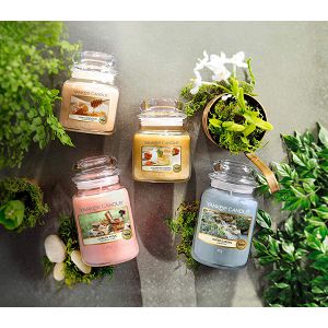 svijeca-mirisna-yankee-candle-classic-large-jar-calamansi-co-87262-lb_2.jpg