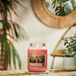 svijeca-mirisna-yankee-candle-classic-medium-the-last-paradi-86649-lb_2.jpg