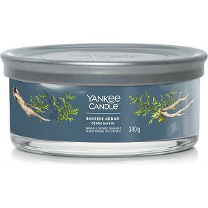 Svijeća mirisna Yankee Candle Signature Multiwick Tumbler Bayside Cedar (gori do 28 sati)