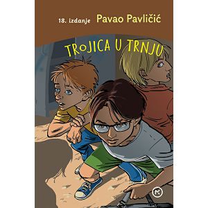 Trojica u trnju 18.izdanje, tvrdi uvez - Pavao Pavličić