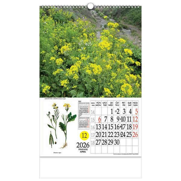 Kalendar "Ljekovito bilje" s rotacijskim krugom, spirala, Nikoprom