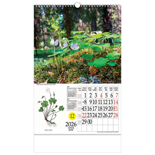 Kalendar "Ljekovito bilje" s rotacijskim krugom, spirala, Nikoprom