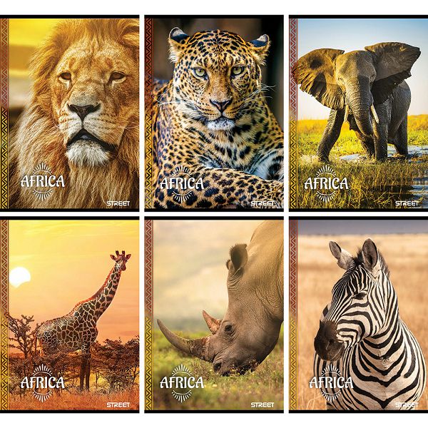 biljeznica-a454lkaro-africa-street-6motiva-77561-2-ec_1.jpg