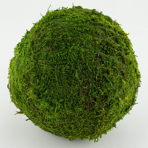 hobby-kugla-15cm-mahovina-natur-zelena-954665-91551-kp_1.jpg