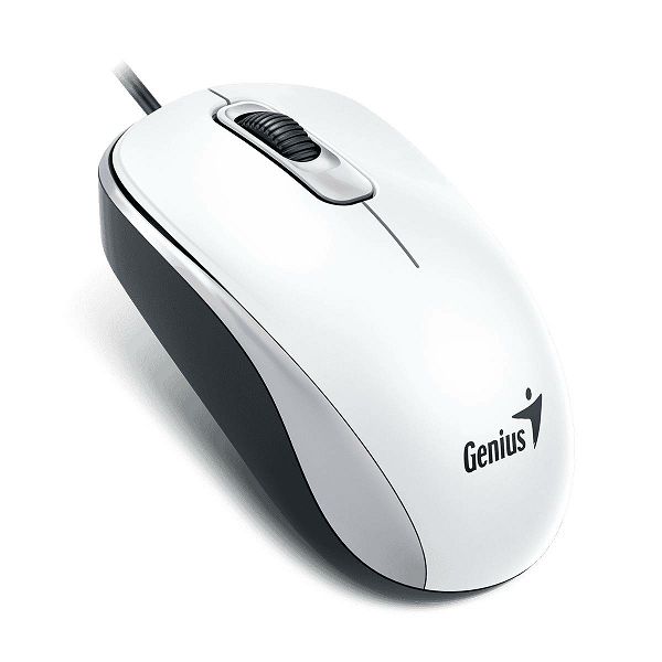 mouse-genius-stream-optical-dx110usbwhite-251484-48845-49550-mic_1.jpg