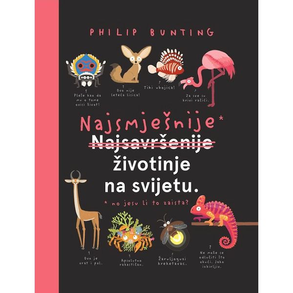 najsmjesnije-najsavrsenije-zivotinje-na-svijetu-philip-bunti-39588-58990-be_303321.jpg