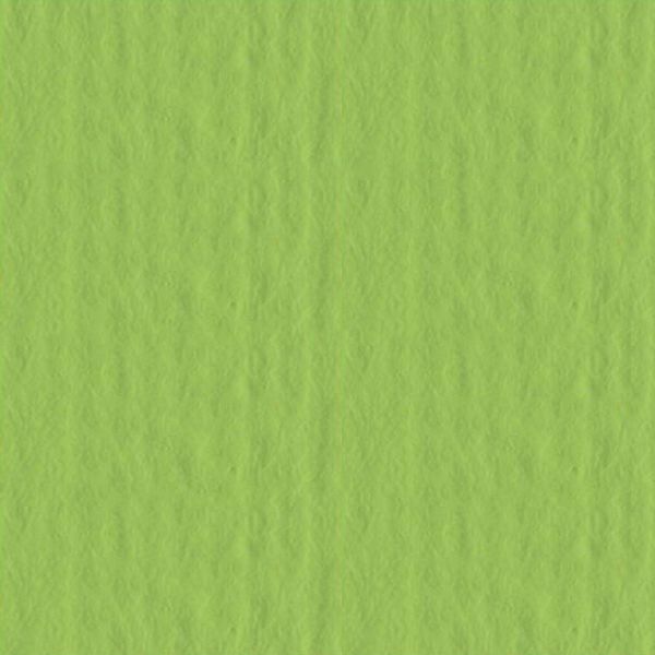 papir-fabriano-cartacrea-35x50cm-u-boji-220g-11-grasak-zelen-05947-15-et_2.jpg