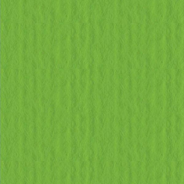 papir-fabriano-cartacrea-35x50cm-u-boji-220g-11-zelena-05947-19-et_1.jpg