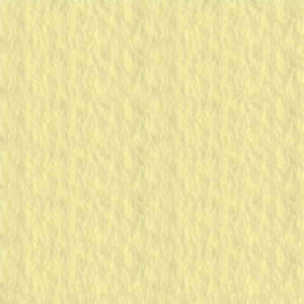 papir-za-pastele-50x65cm-u-boji-160gr-fabriano-tiziano-crema-06527-19-et_1.jpg