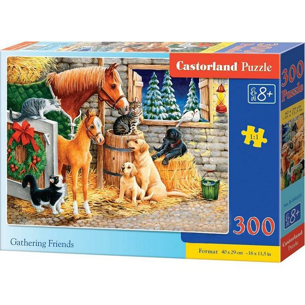 puzzle-castorland-300kom-okupljanje-prijatelja-030255-96721-44746-amd_1.jpg
