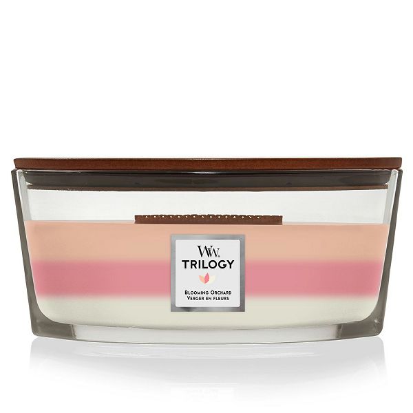 svijeca-mirisna-woodwick-trilogy-elipse-blooming-orchard-172-25712-54428-lb_1.jpg