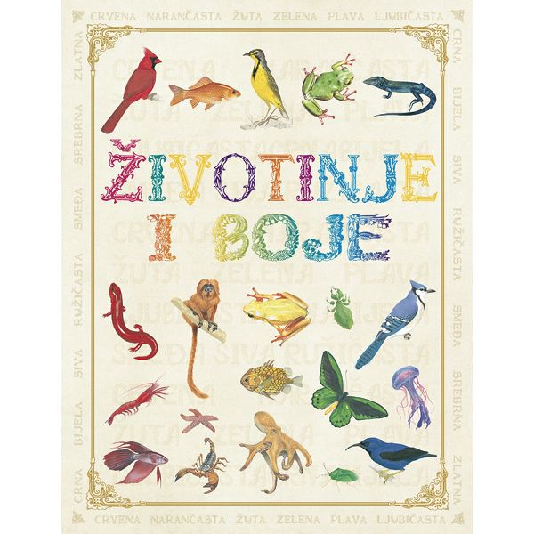 zivotinje-i-boje-51563-19856-lu_1.jpg