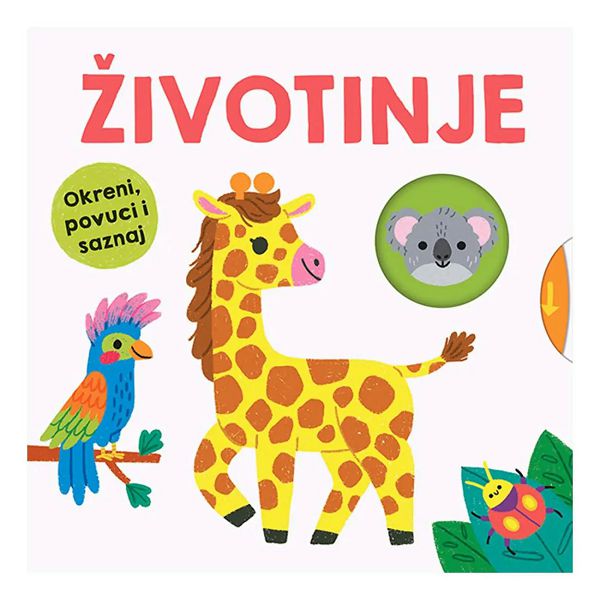 zivotinje-okrenipovuci-i-saznaj-54050-53582-lu_1.jpg
